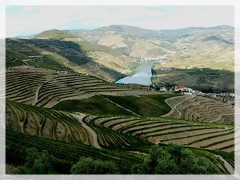 Vale do Douro