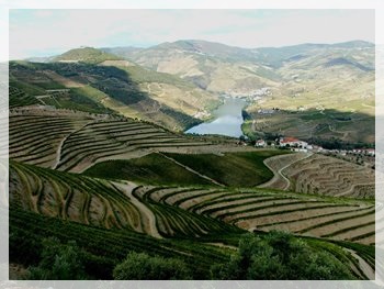 Vale do Douro