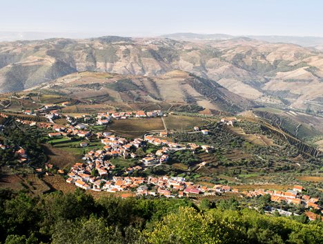 Vale do Douro