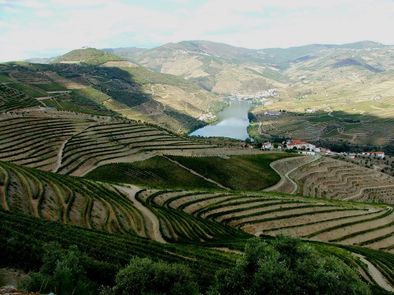 Vale do Douro