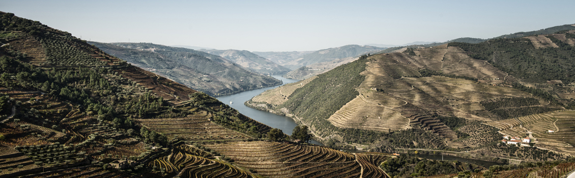 Vale do Douro